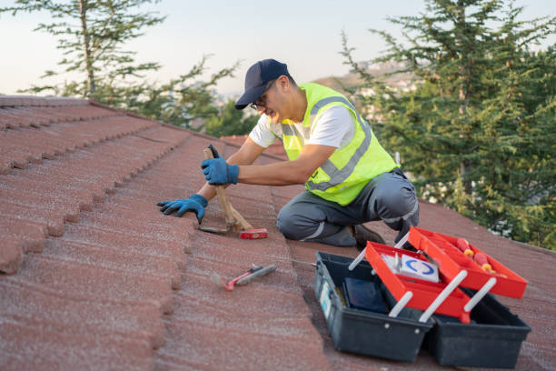 Best Emergency Roof Repair  in Anna, IL